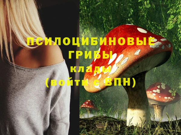 mix Богданович