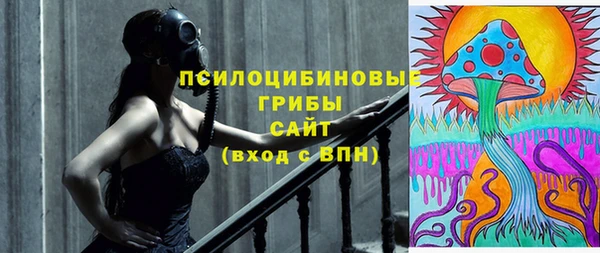 метадон Богородицк