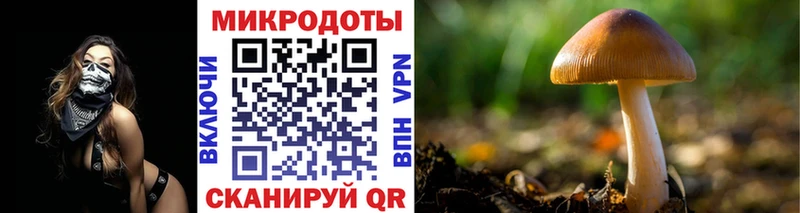 Галлюциногенные грибы GOLDEN TEACHER  Купино 