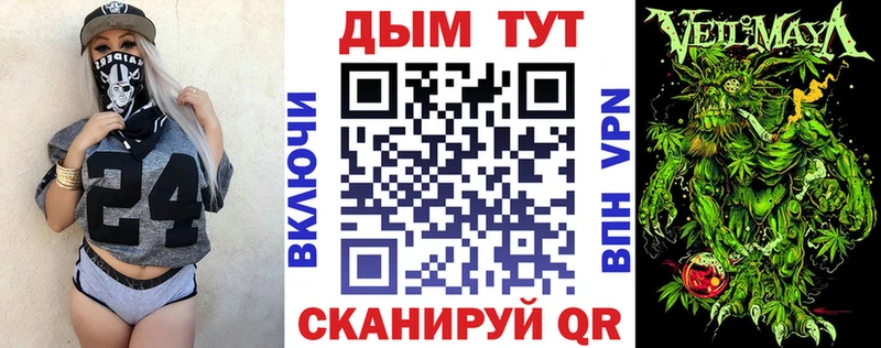 Бошки Шишки планчик  Купино 
